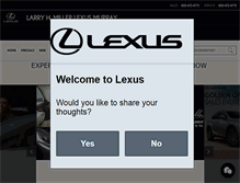 Tablet Screenshot of lhmlexus.com